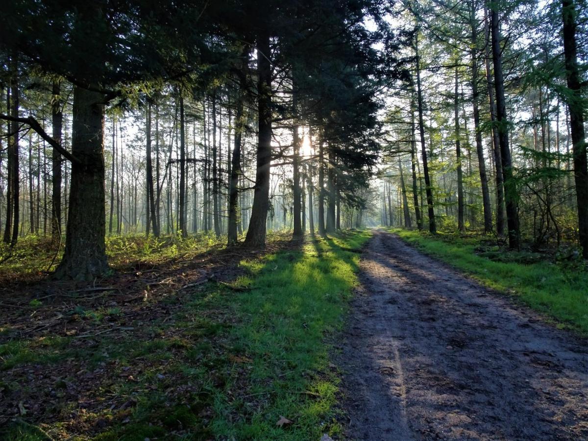 Veluwe Park Reewold Chalet Eclipse بوتِنْ المظهر الخارجي الصورة